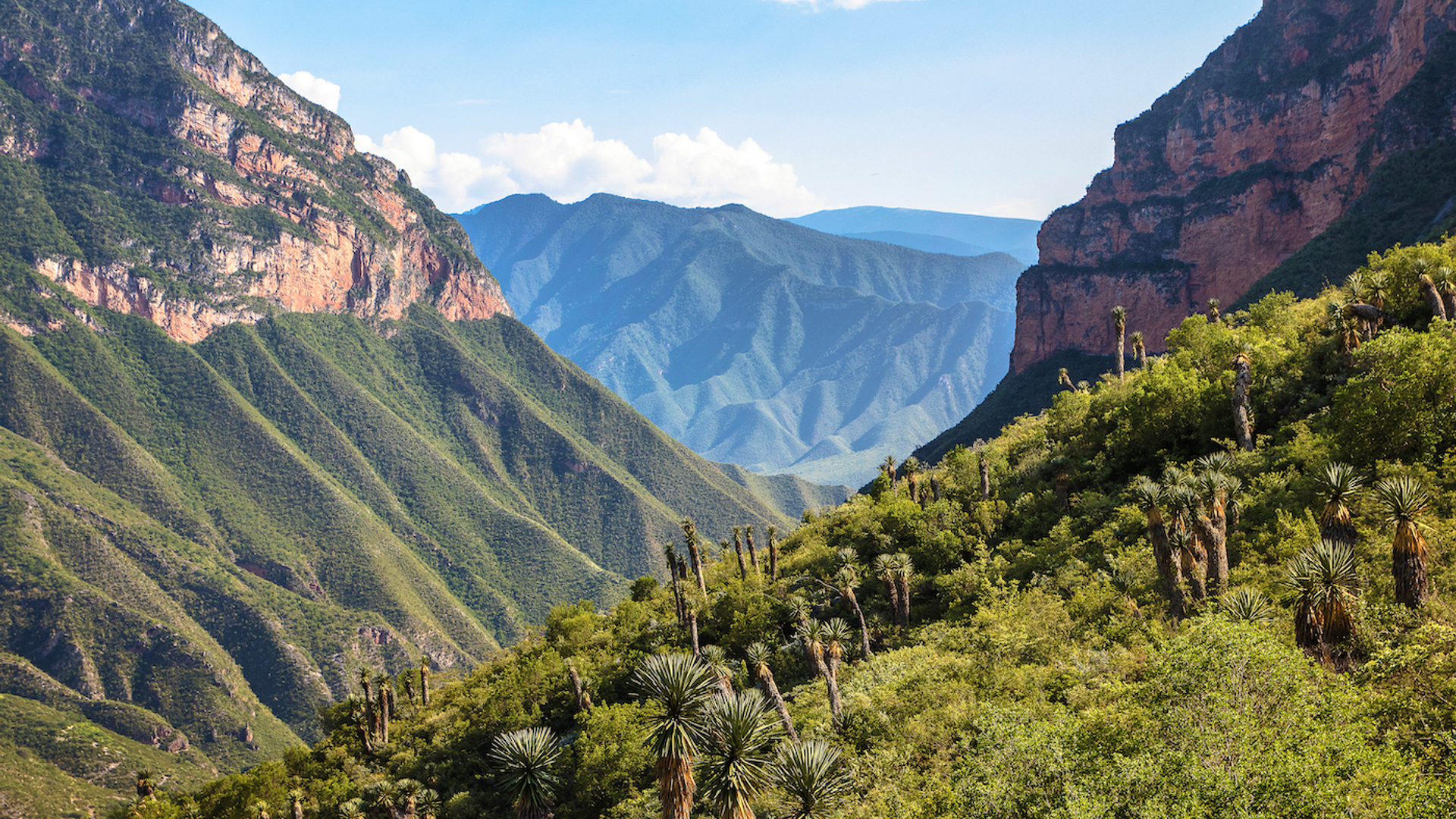 shutterstock_1863409753-1645803983