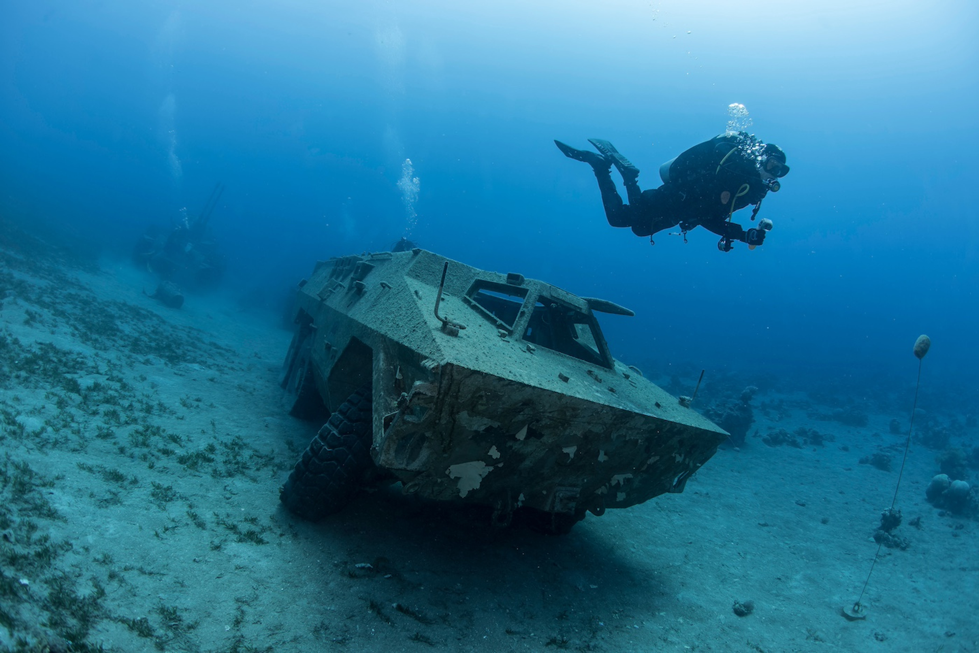 shutterstock_1591916299-1720793595