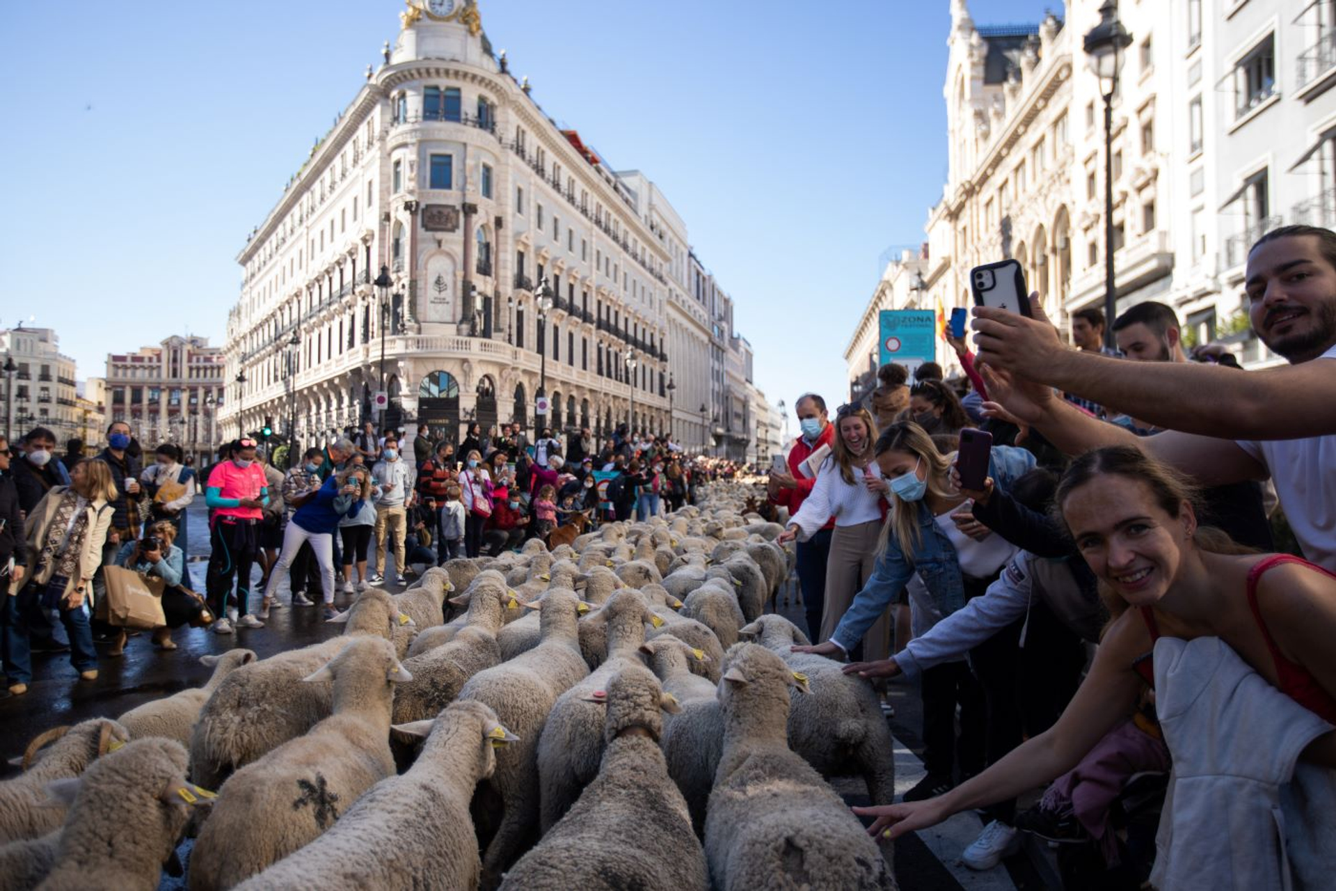 Wirestock_Creators-1698852831