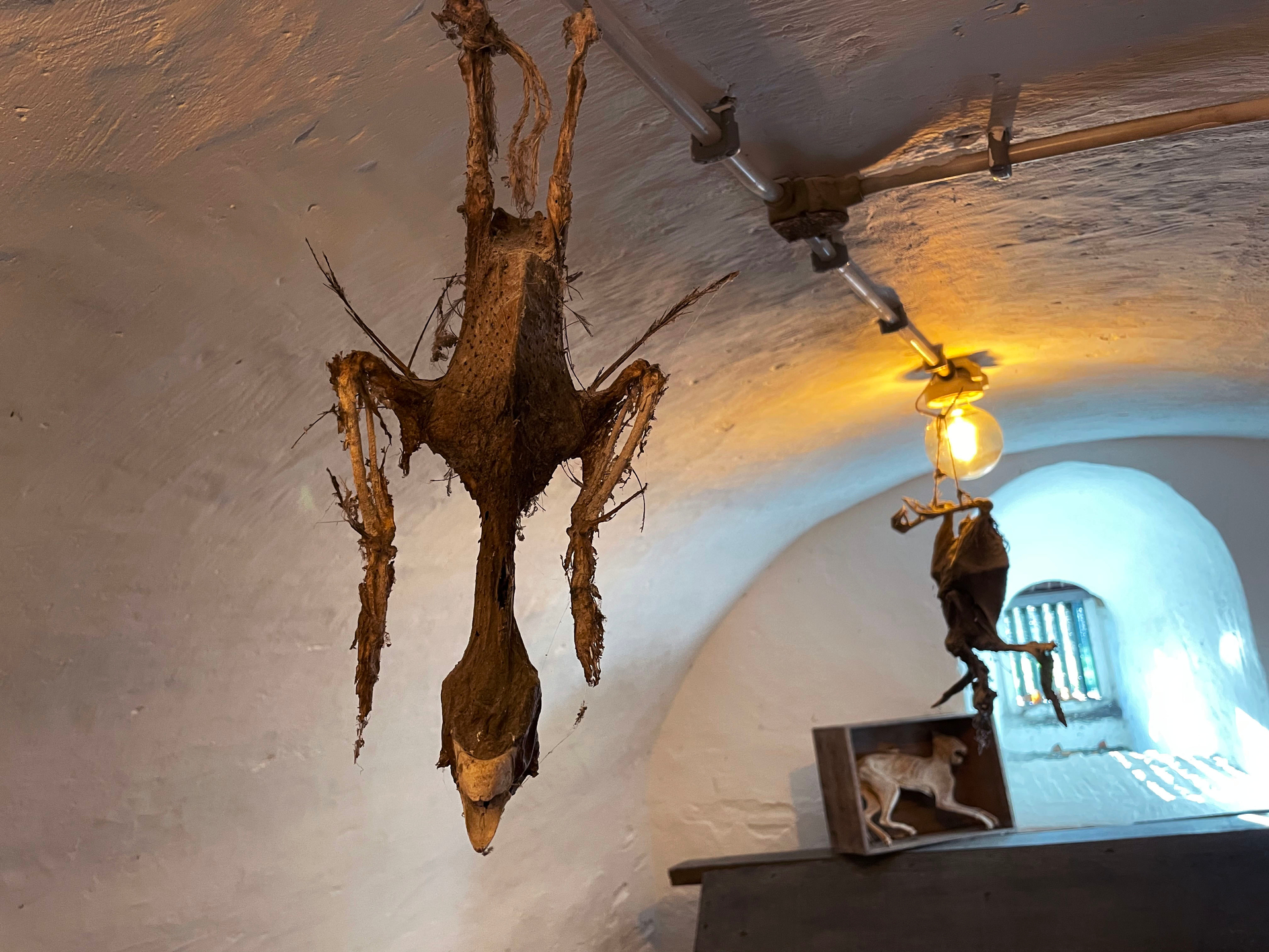 image00047_kopi_ren-1674569937