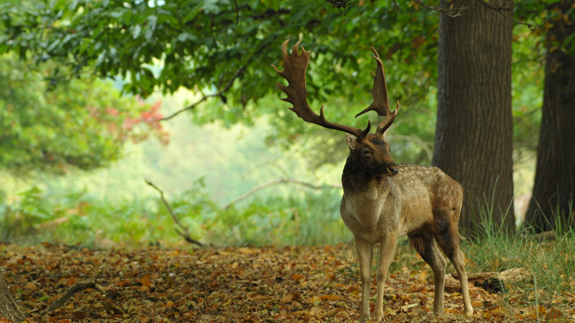 shutterstock_1712707690-1618501998