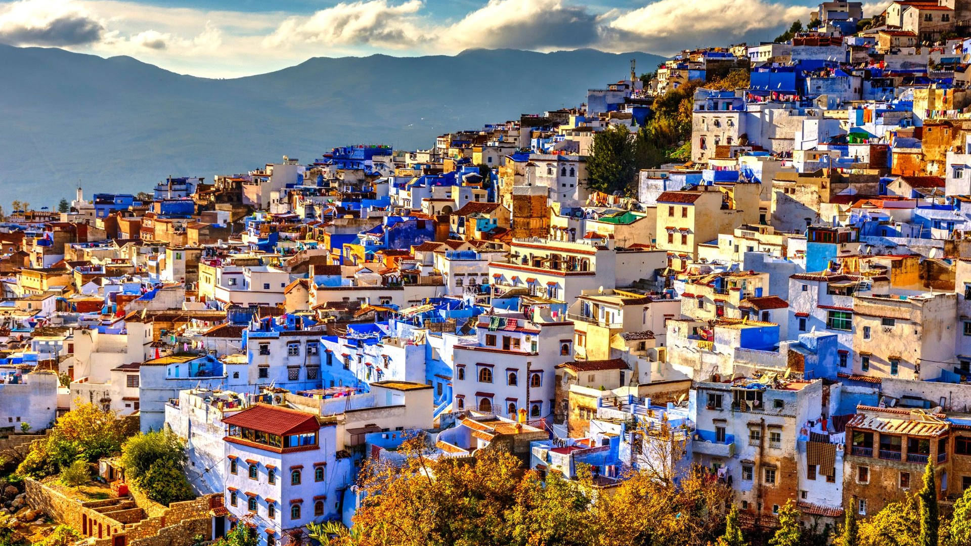 1bef5700-60ea-4257-a7f3-9014ed76788a-1605091023