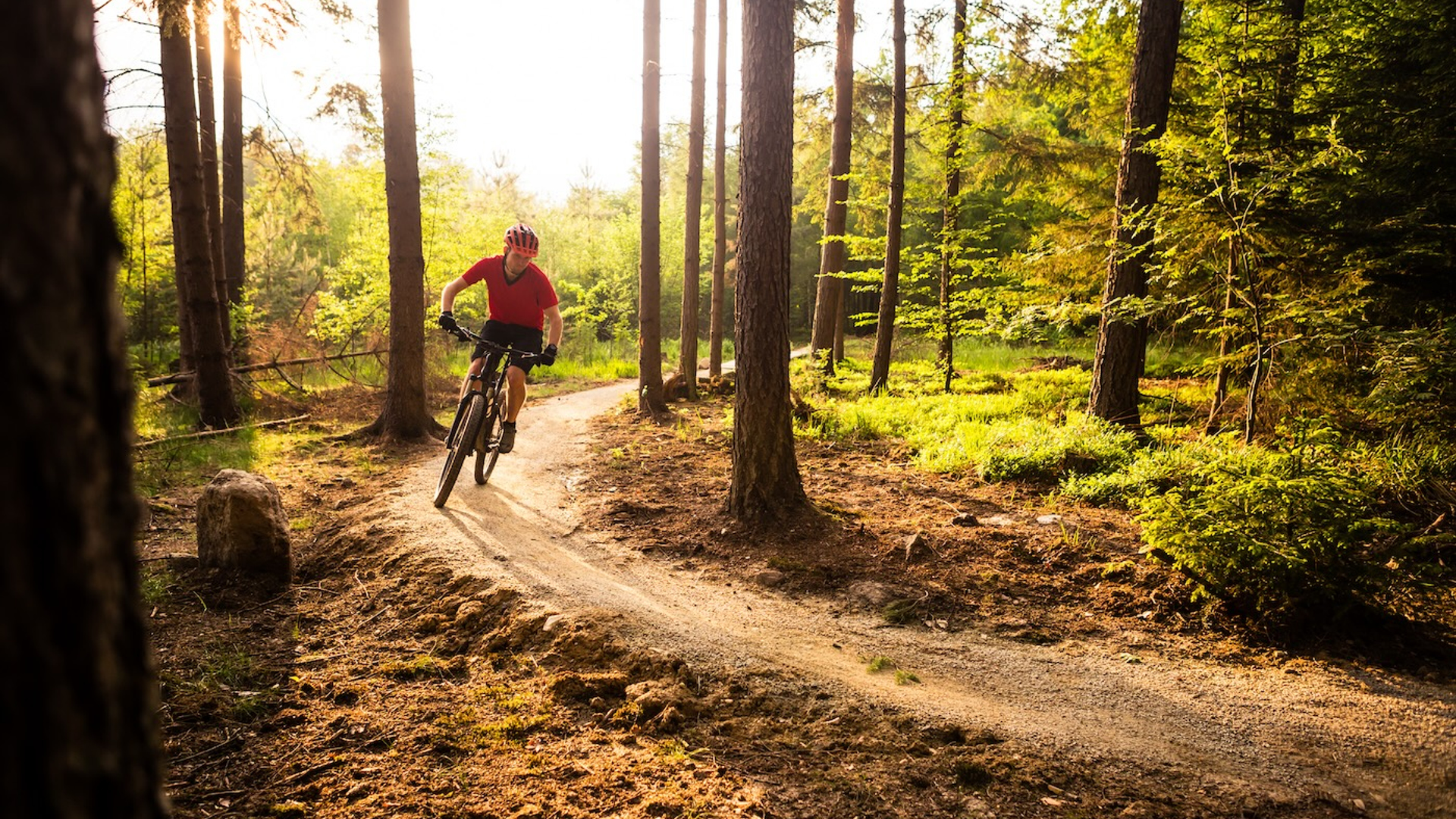 Blazej_Lyjak-1711113418