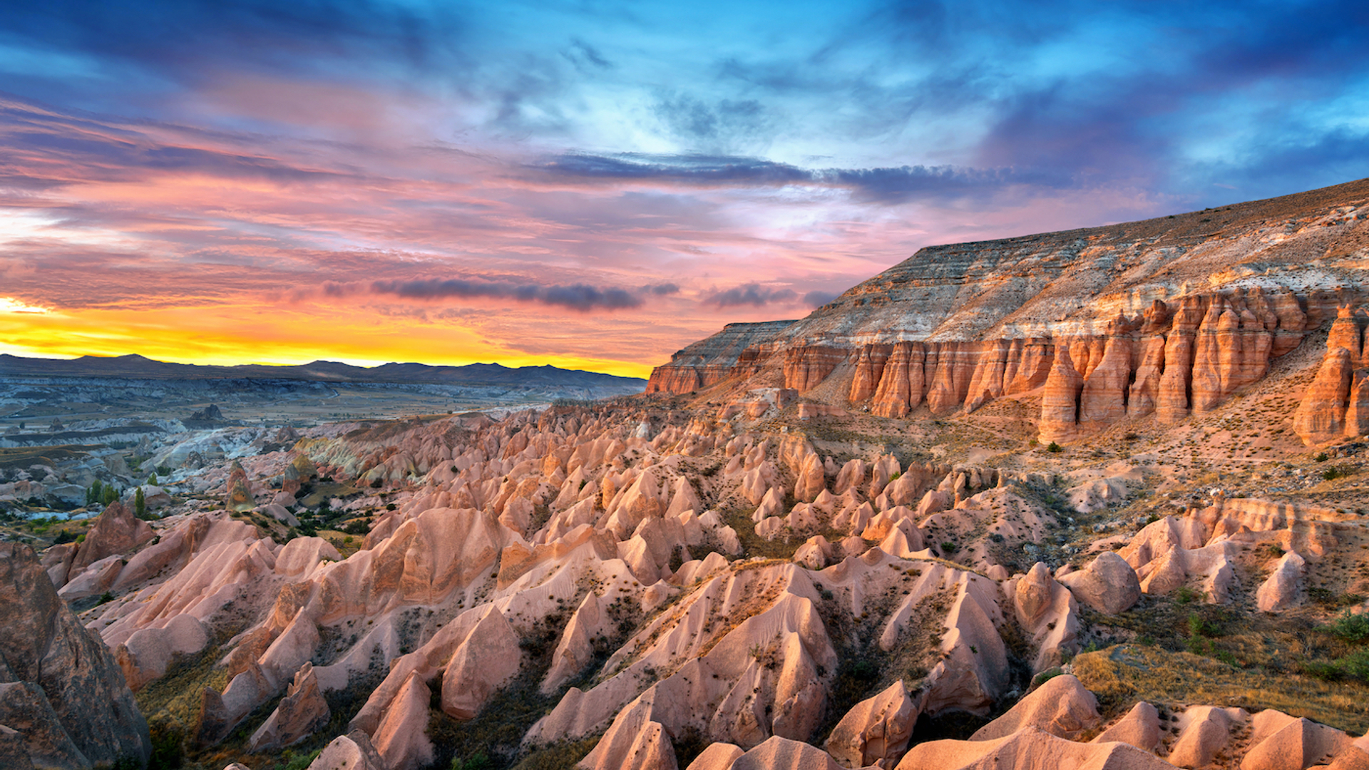 Guitar_photographer-1641454624