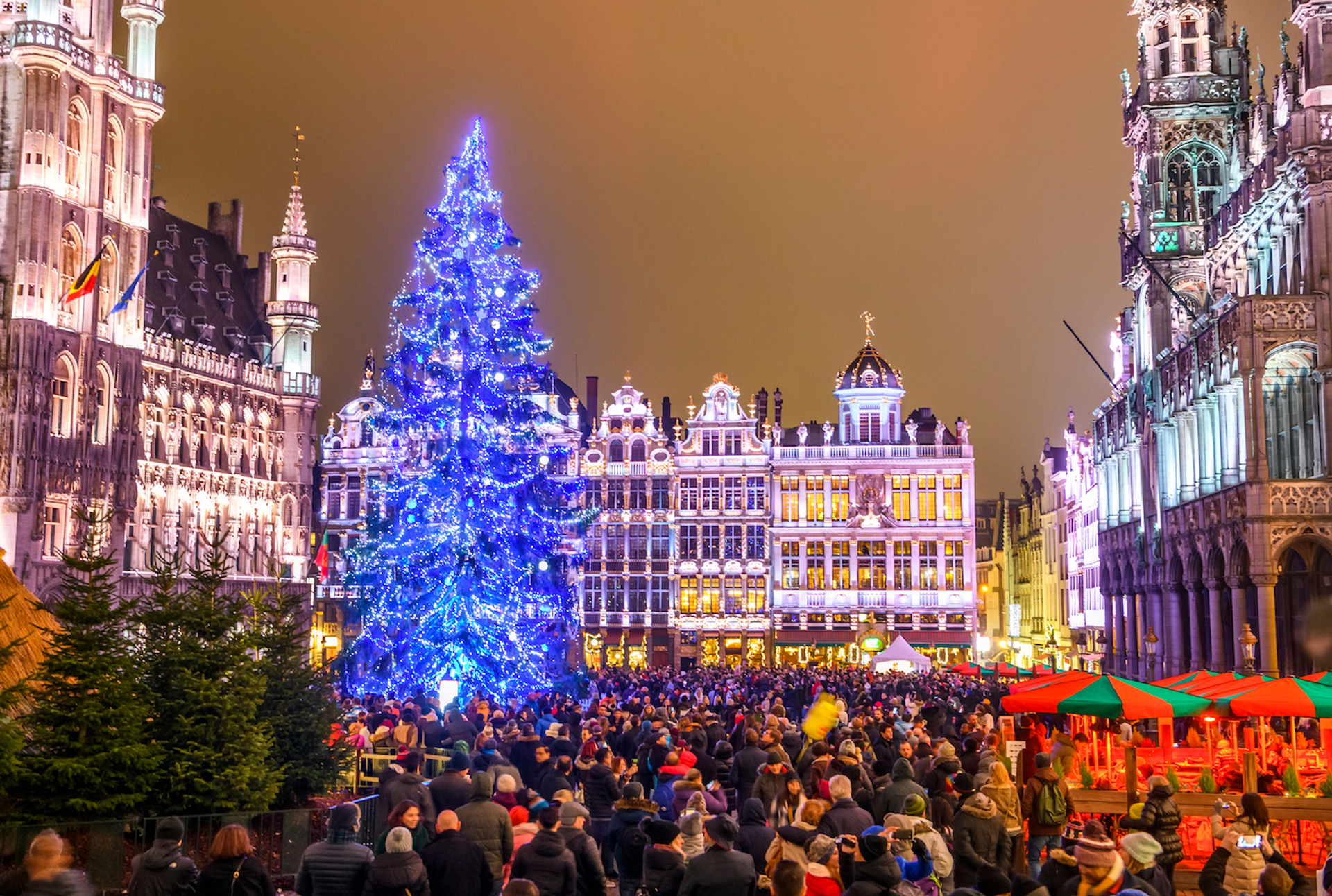 paparazzza-1700124817