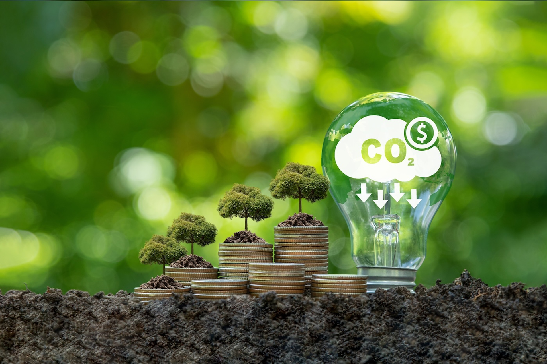 BOY_ANTHONY-1755000362