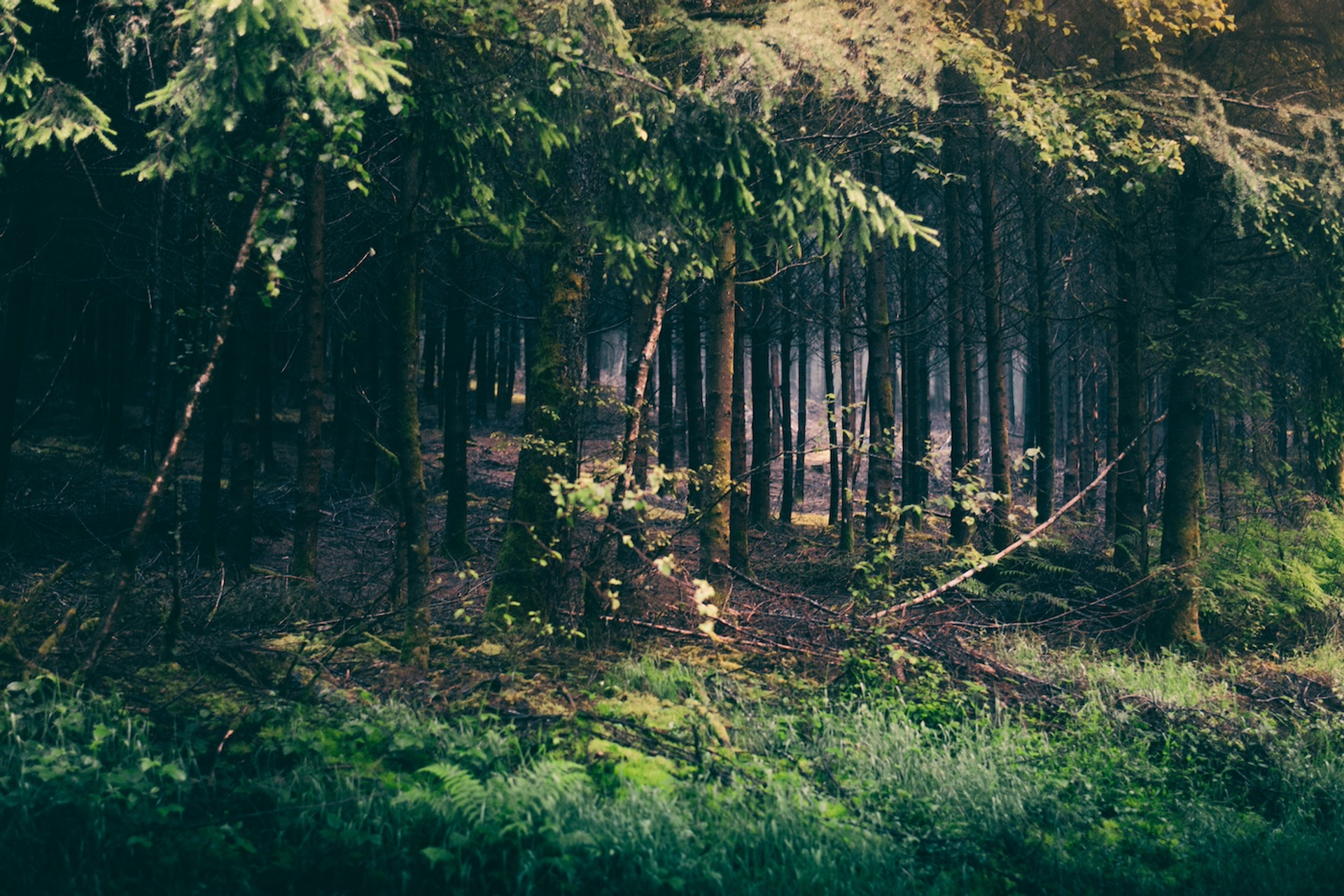 shutterstock_2470473733-1718289171