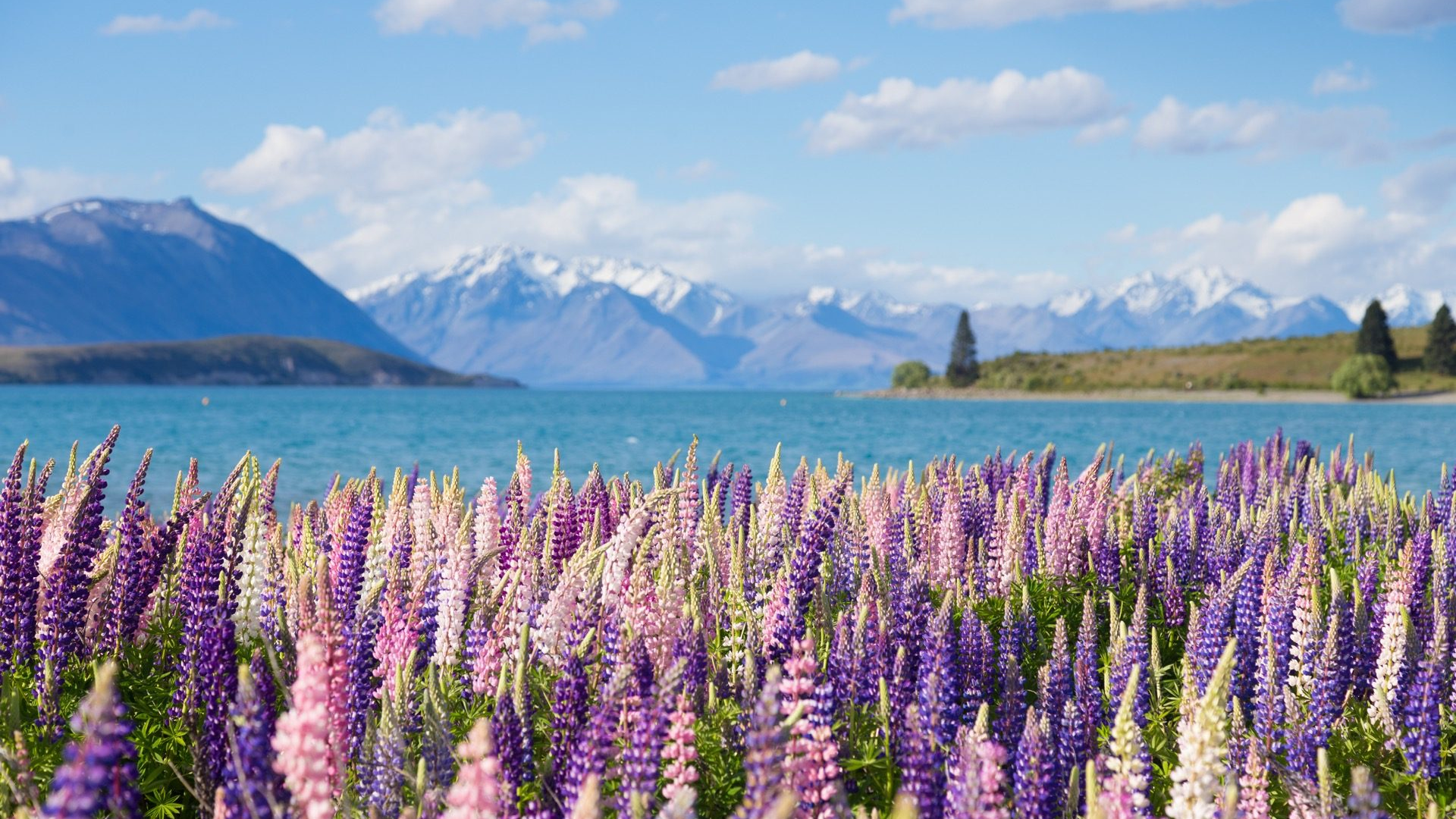 2ca31f3f-da33-4c22-89a5-a1e8924a1745-1605103524