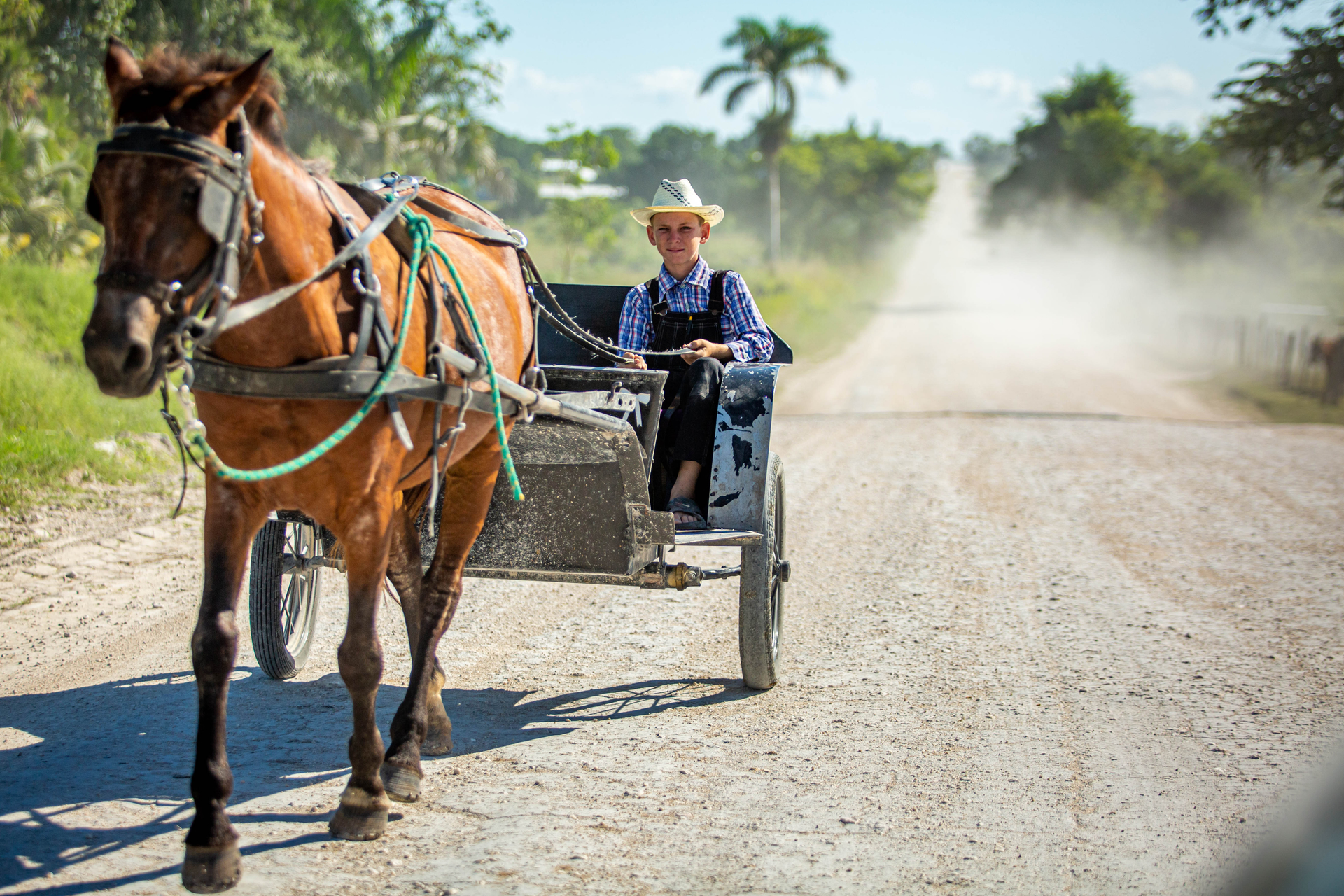 Afbeelding van Terug in de tijd: Mennonieten in Paraguay