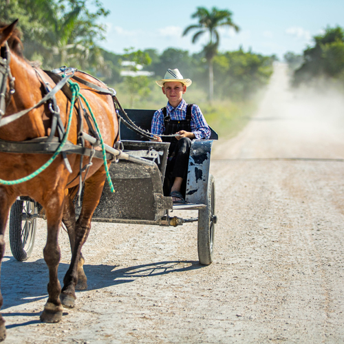 Terug in de tijd: Mennonieten in Paraguay