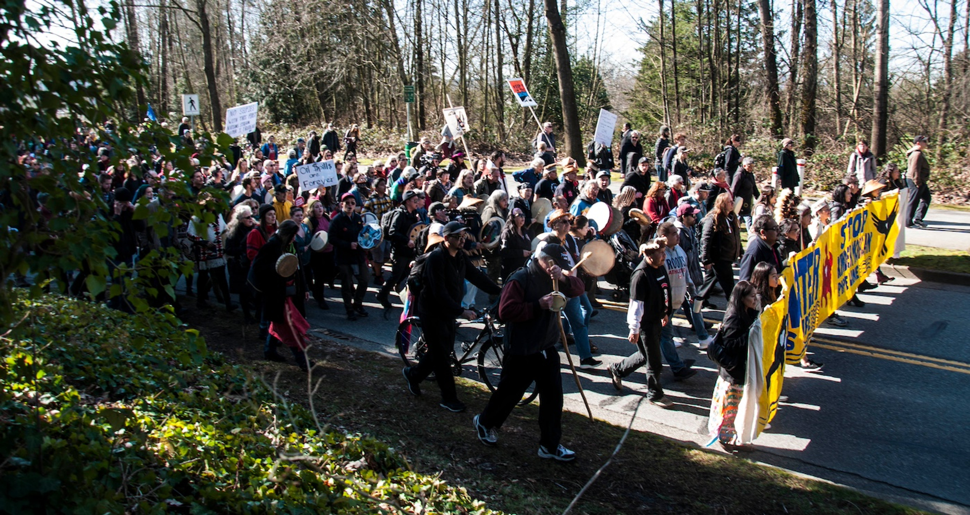 shutterstock_1238608312-1740053698