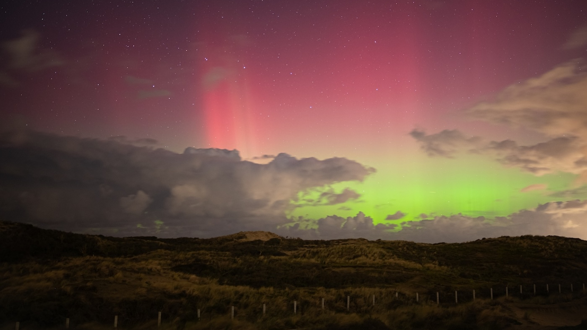 Menno_van_der_Haven_-1727787426