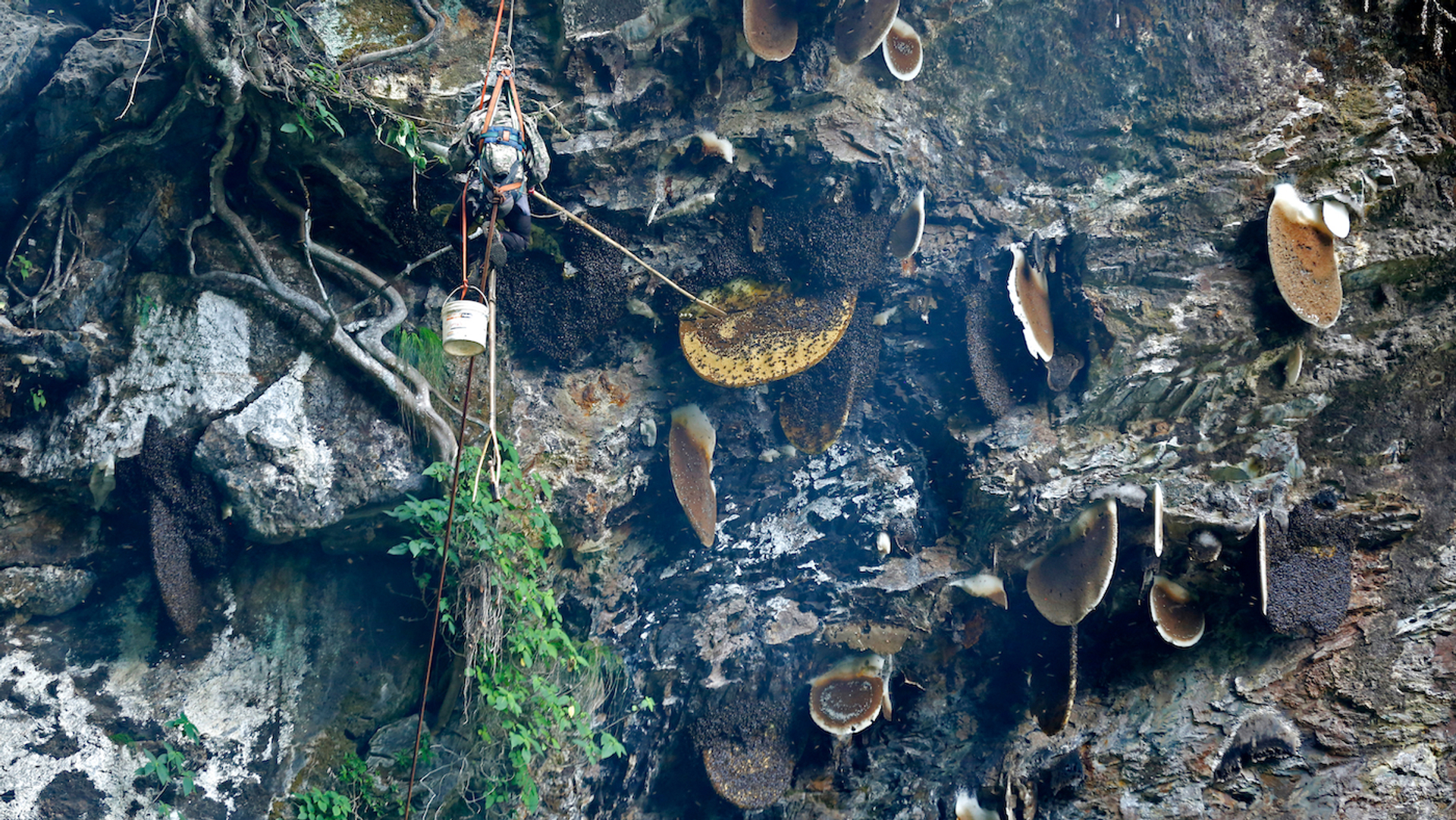 Worldlink_nepal-1664459990