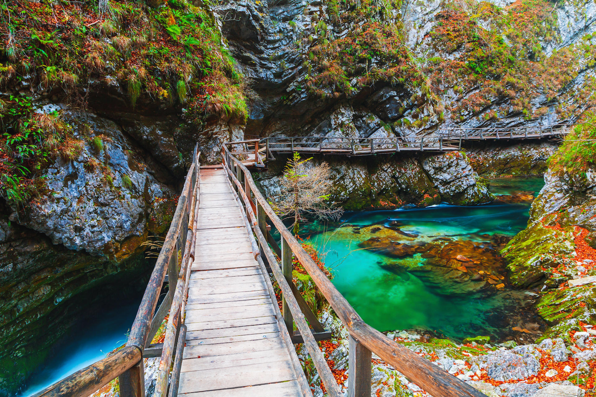 shutterstock_1906946899-1653994103