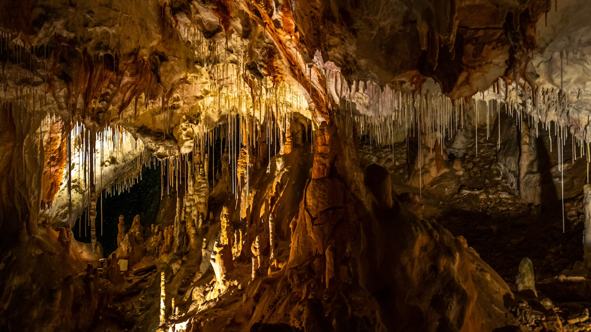 Izabela_Krecioch-1711553181