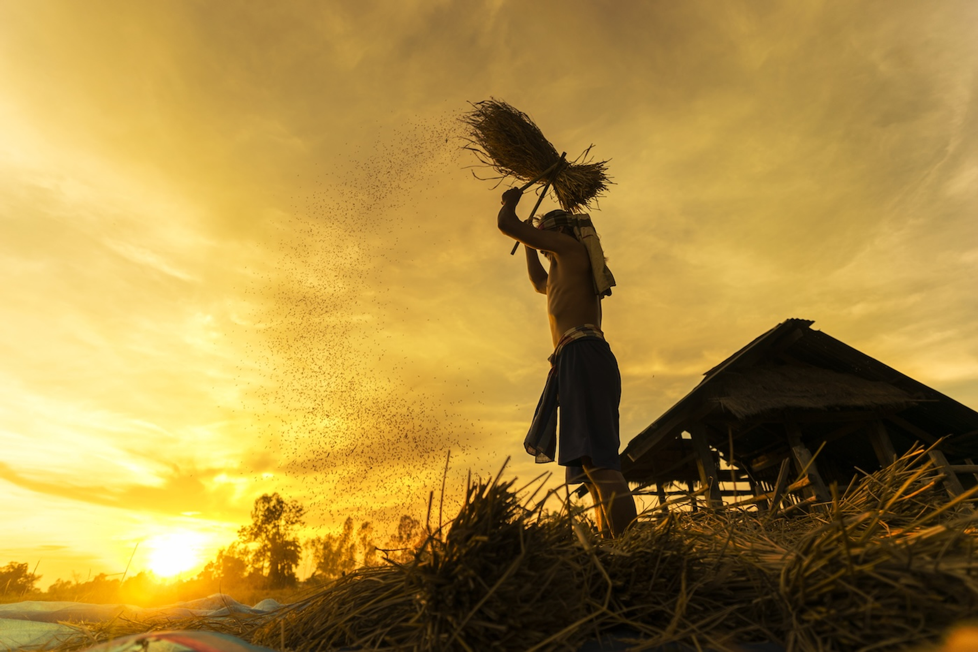 TOM...foto-1727381206