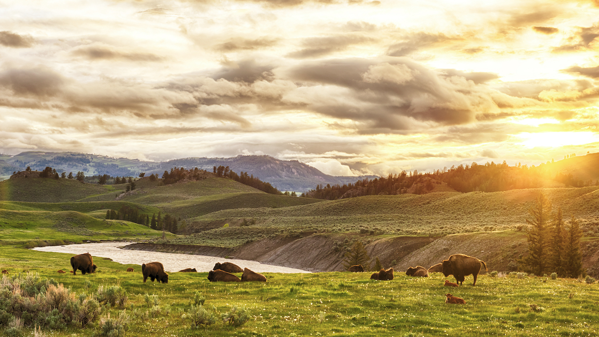 Filip_Fuxa___Shutterstock.com-1677243022