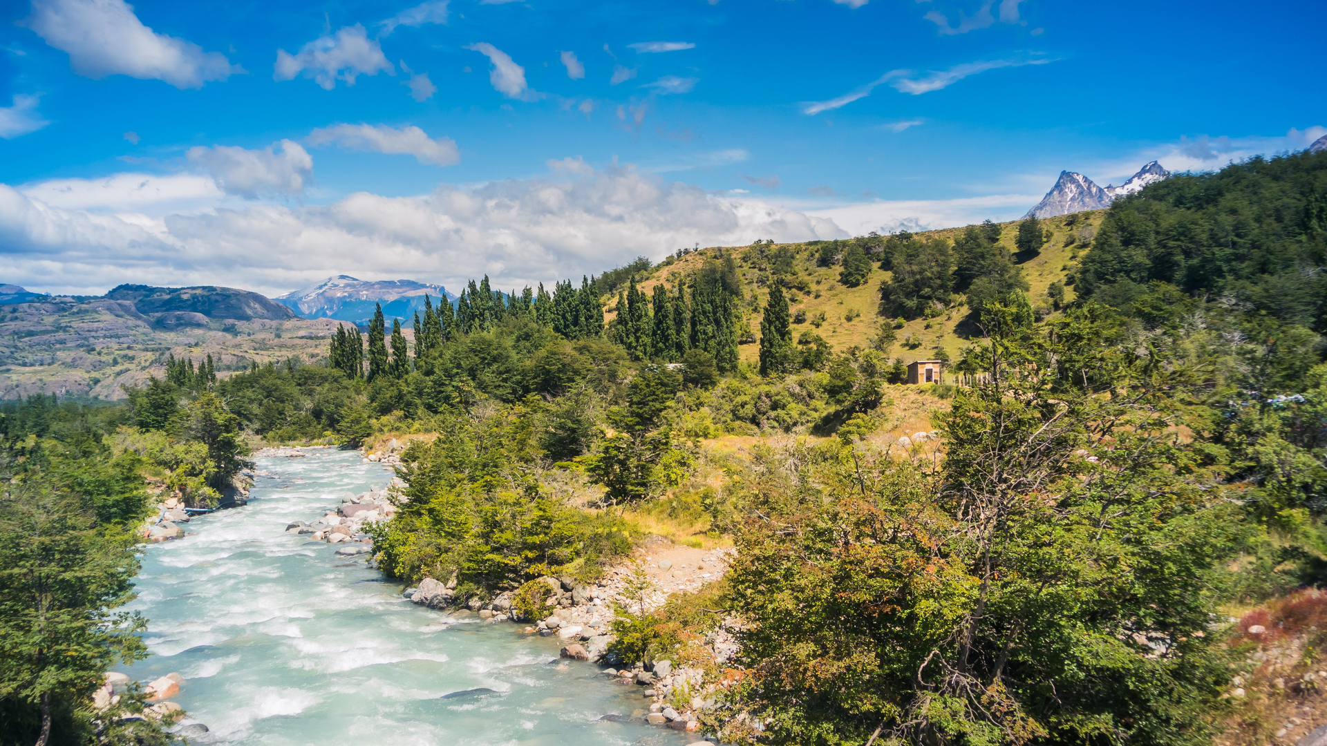 f9e34110-b3e8-4805-93dd-c7b65d3eaa3a-1605002053