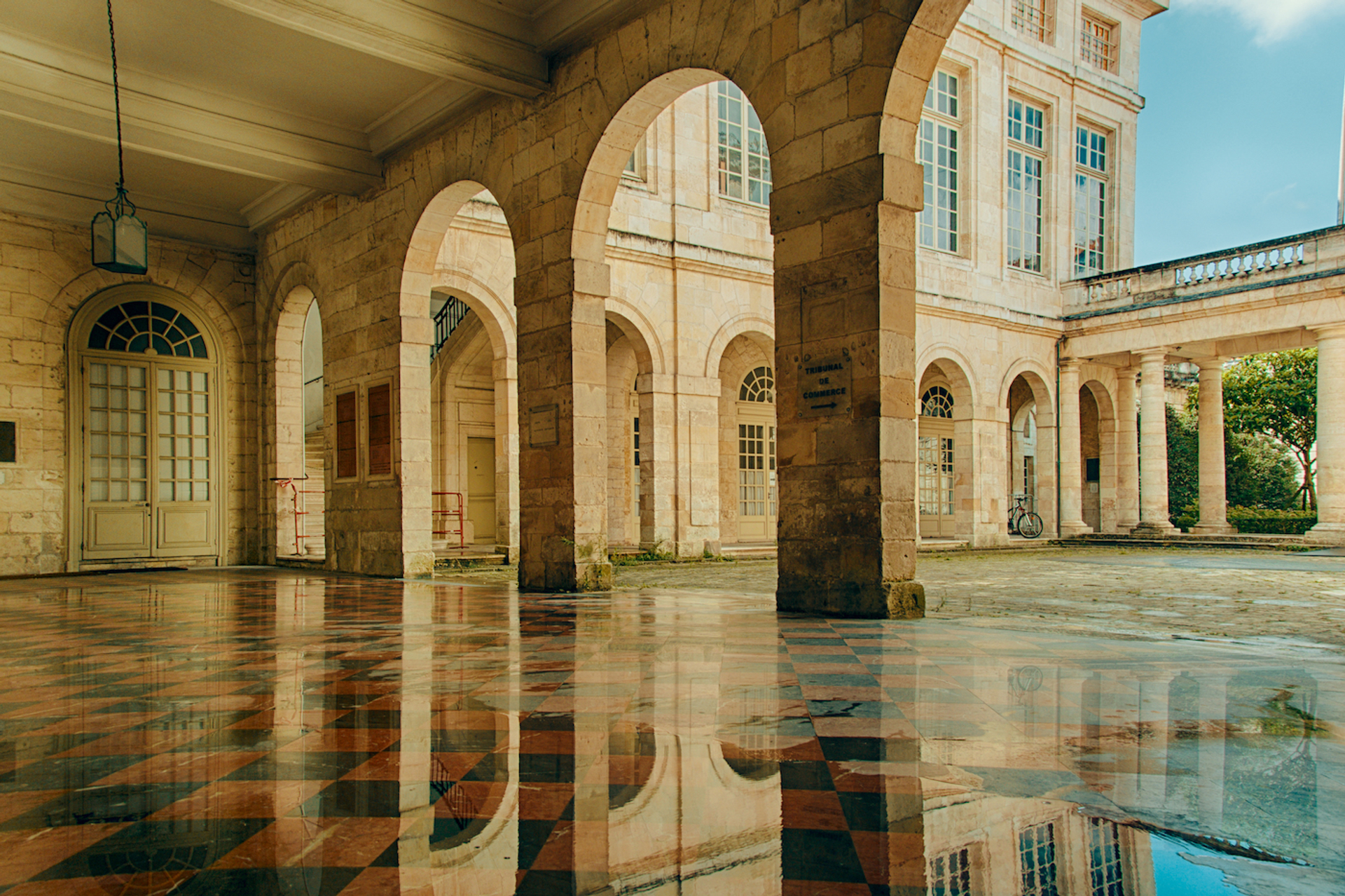 Nevskii_Dmitrii-1699456968