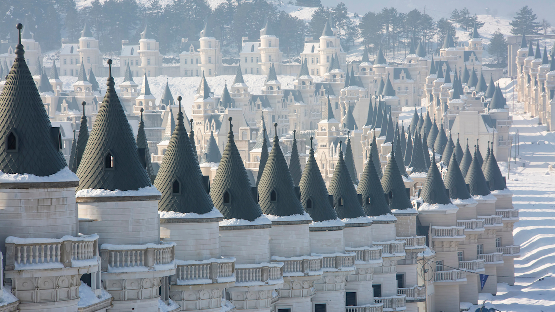 Esin_Deniz___Shutterstock.com-1678724439