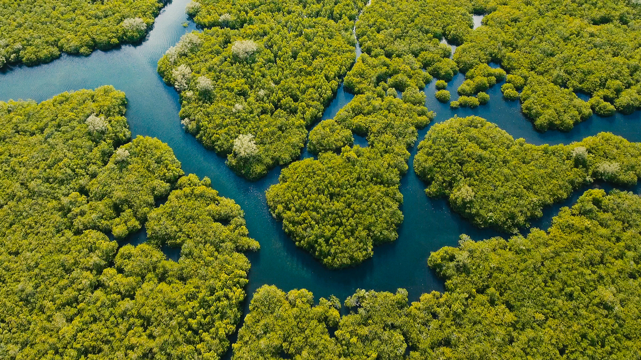 rivier milieumissie