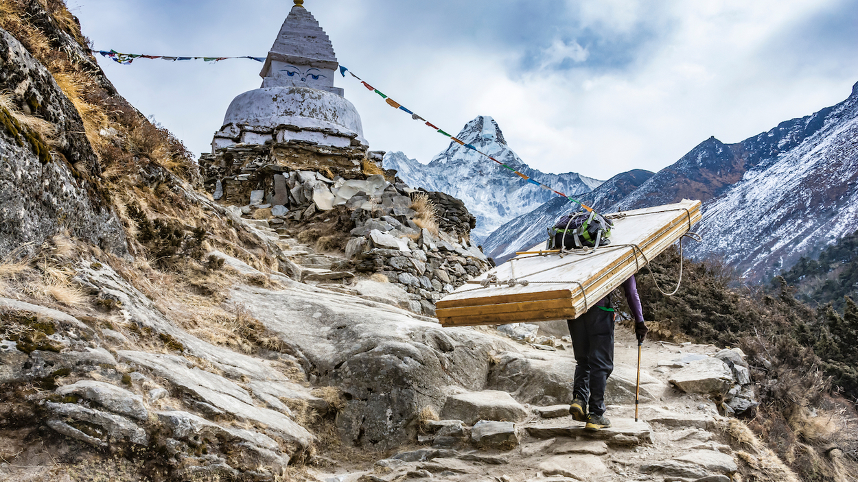 sherpa berg 2