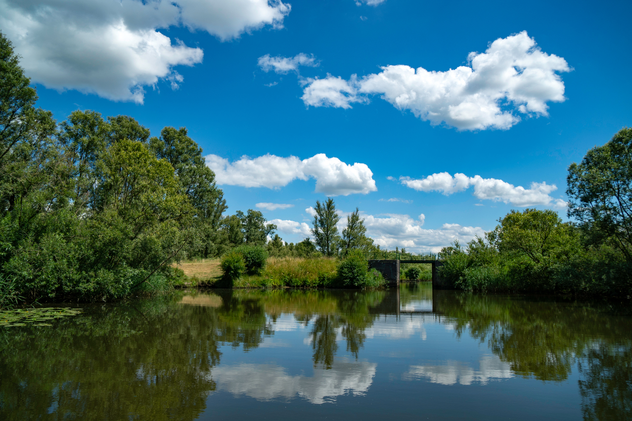 De Biesbosch