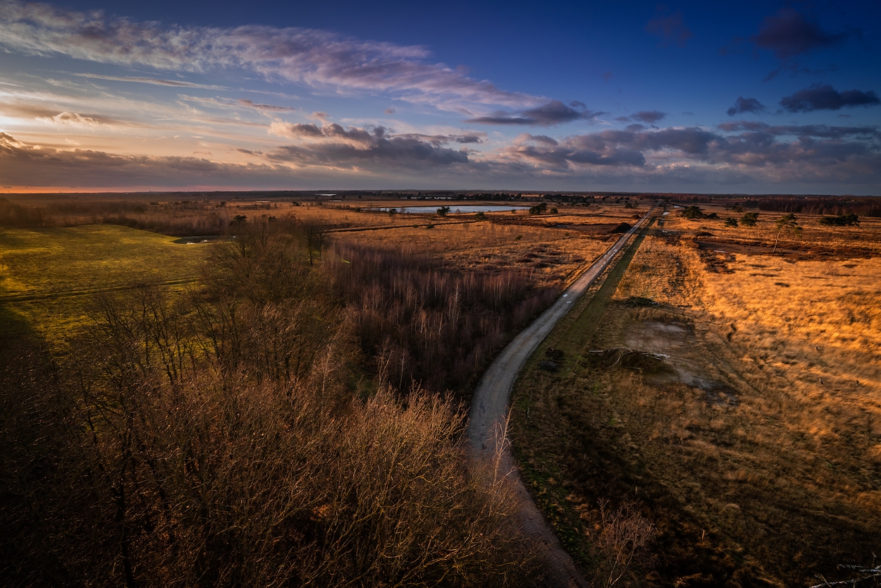 Nationaal park de Groote Peel Limburg Noord-Brabant