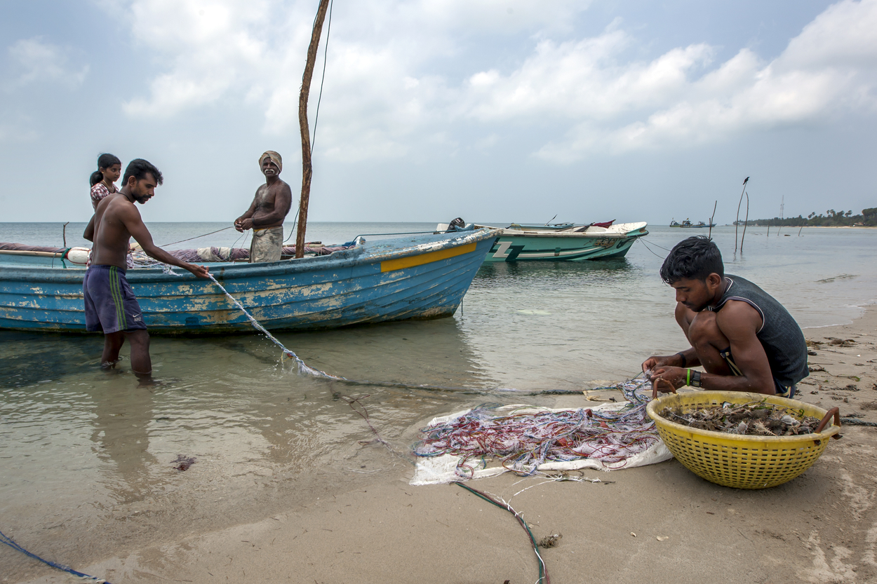 Delft Island, Sri Lanka, Thomas Wyness