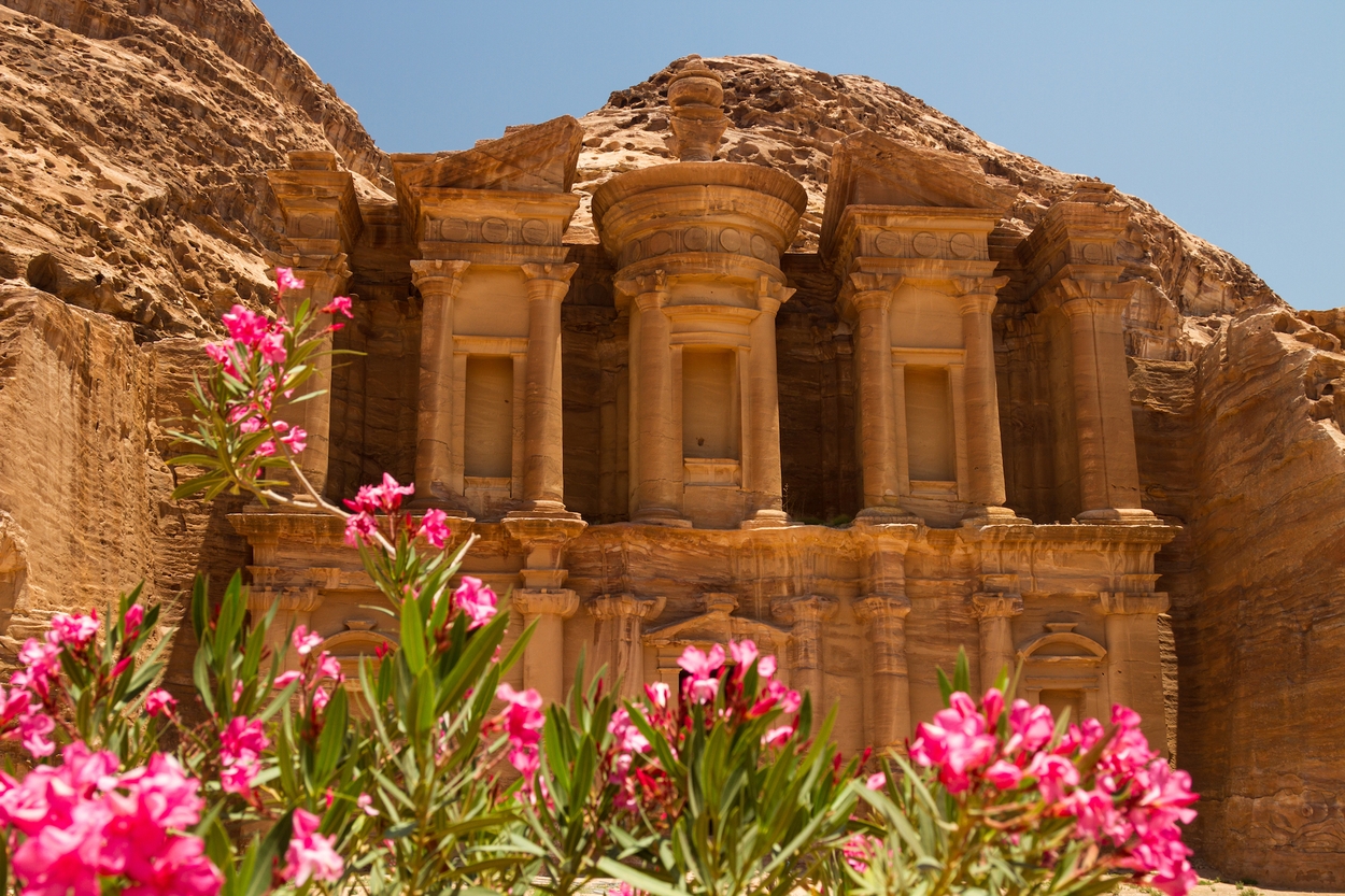 Flowers in Petra