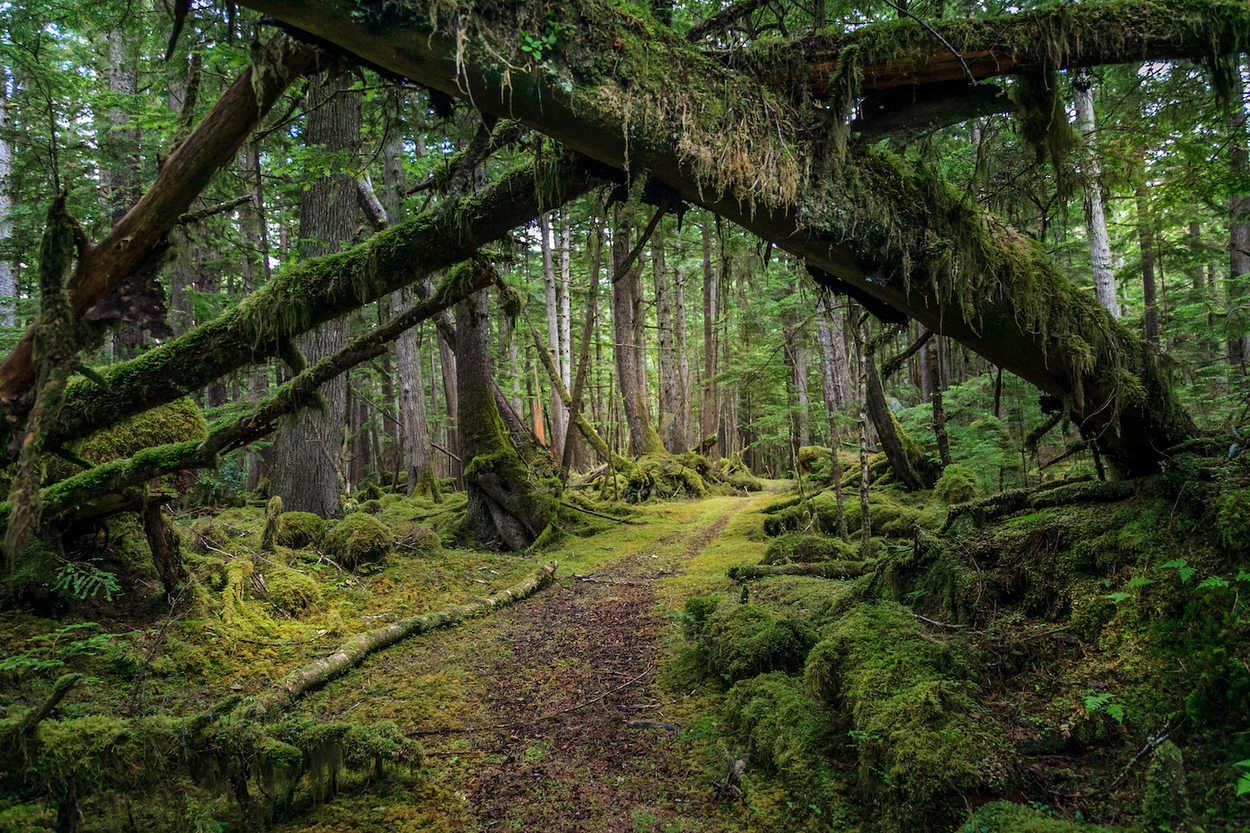 Haida Gwaii7