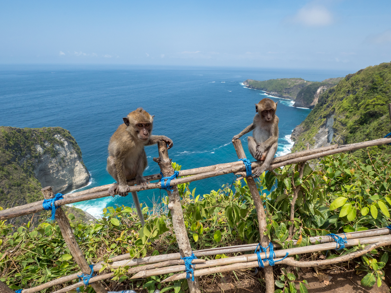 Nusa Penida 2