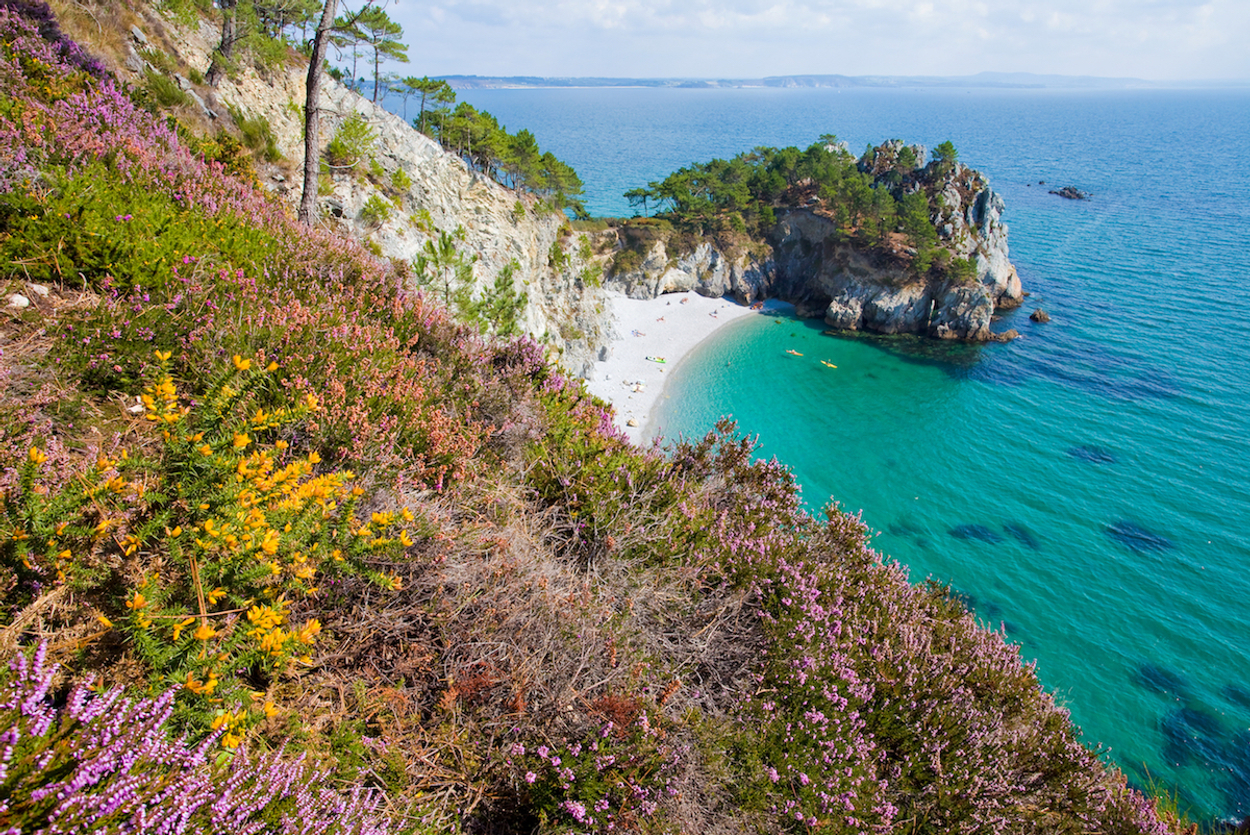 virgin island creek