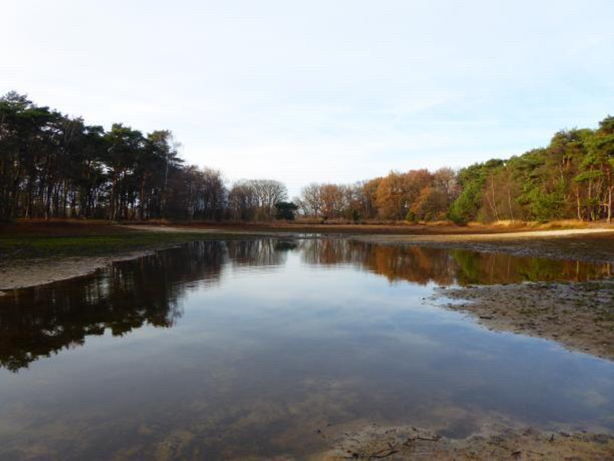 Buurserzand Overijssel