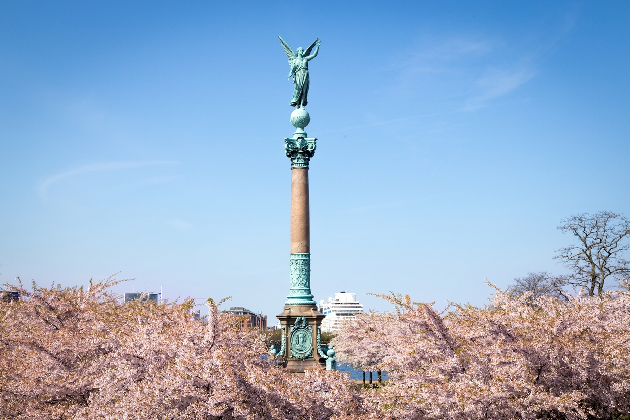 Langelinie Park Kopenhagen blossom sakura : Oliver Foerstner