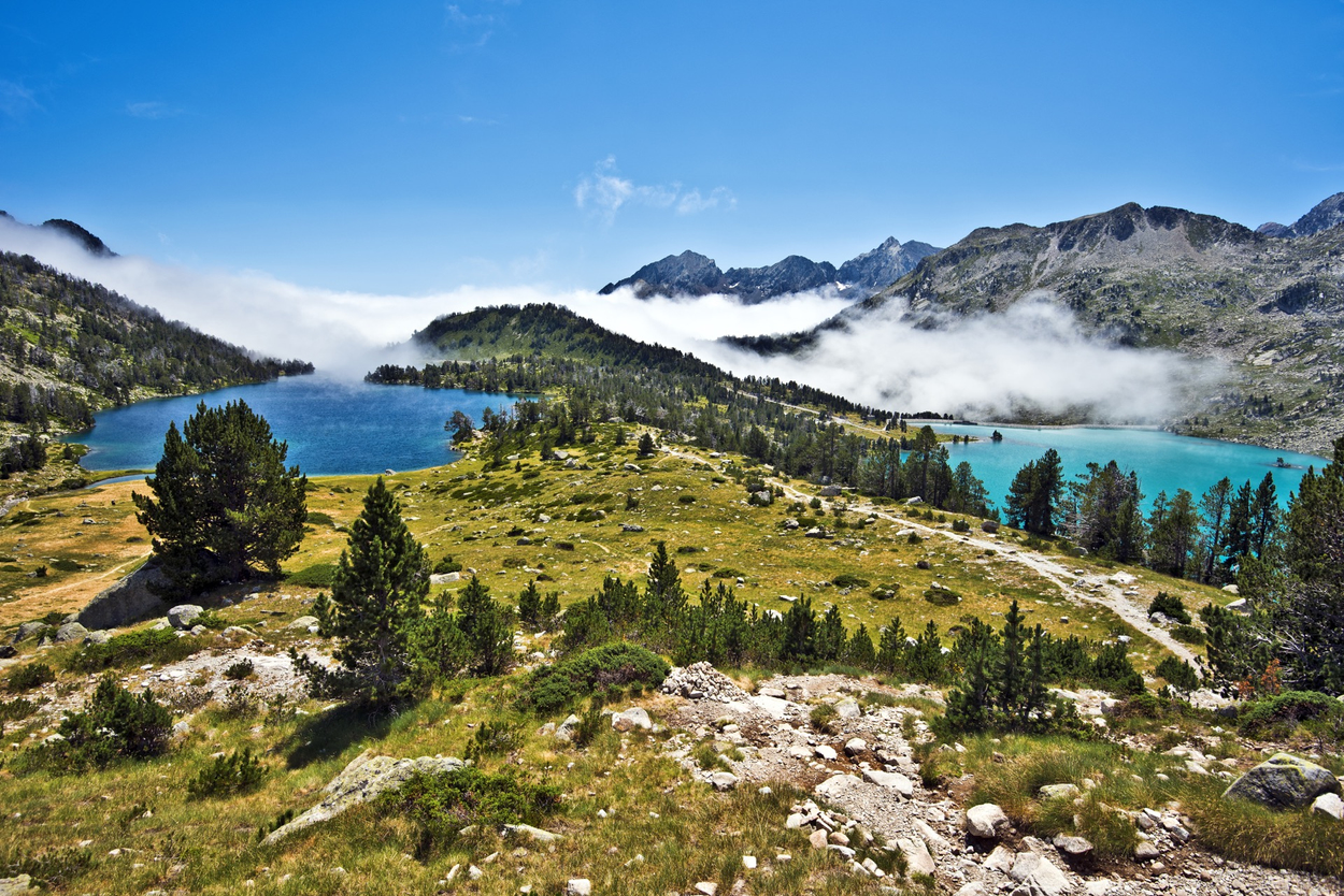 franse-pyreneeen.jpg