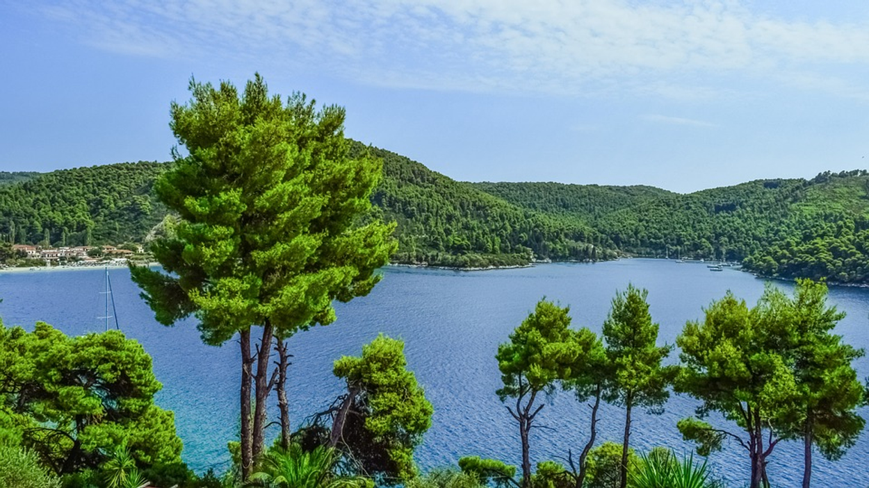 Skopelos bomen