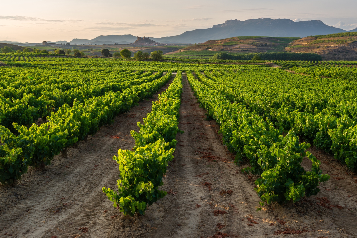 la-rioja.jpg