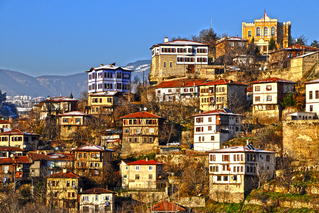 shutterstock_1231228768