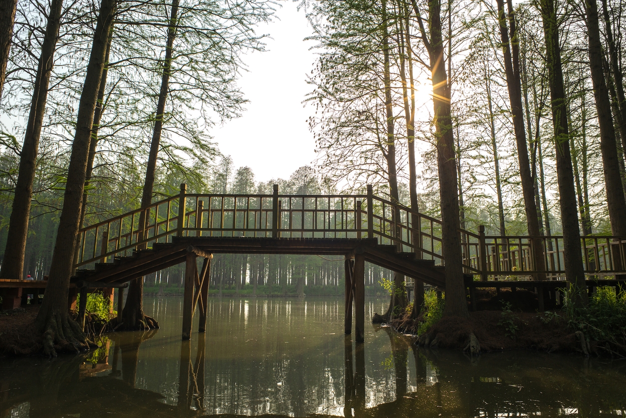 Lizhong water forest park Teow Cek Chuan : Shutterstock.com