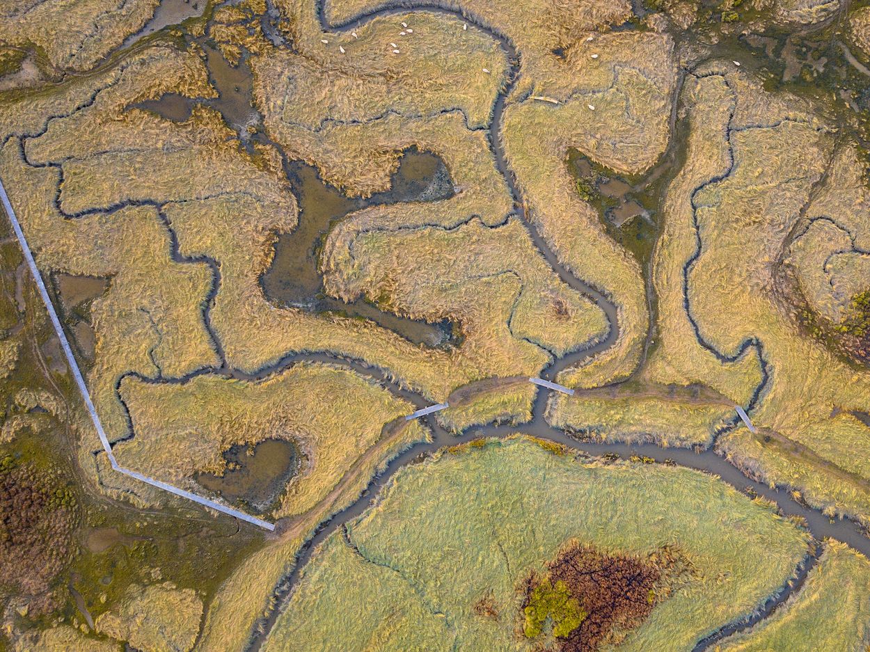 Afbeelding van Worstel enkeldiep door de modder in dit 'Verdronken Land'