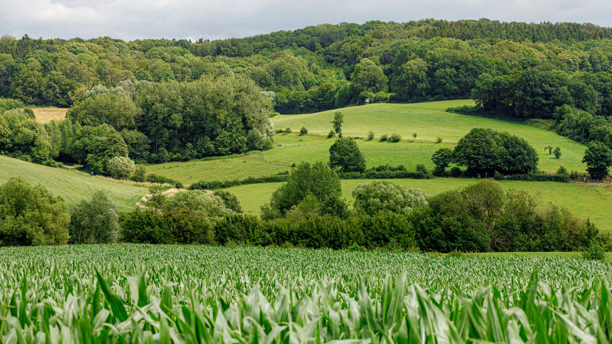 Zuid-Limburg - 3 op Reis - Zembla