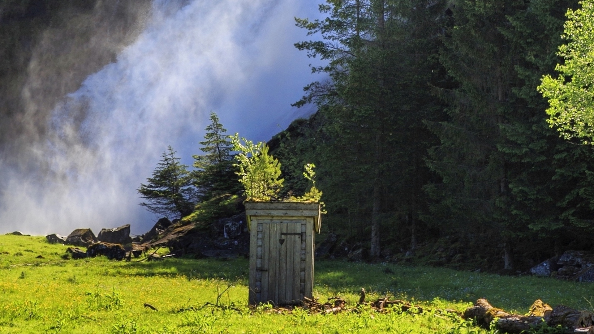 shutterstock_636817093