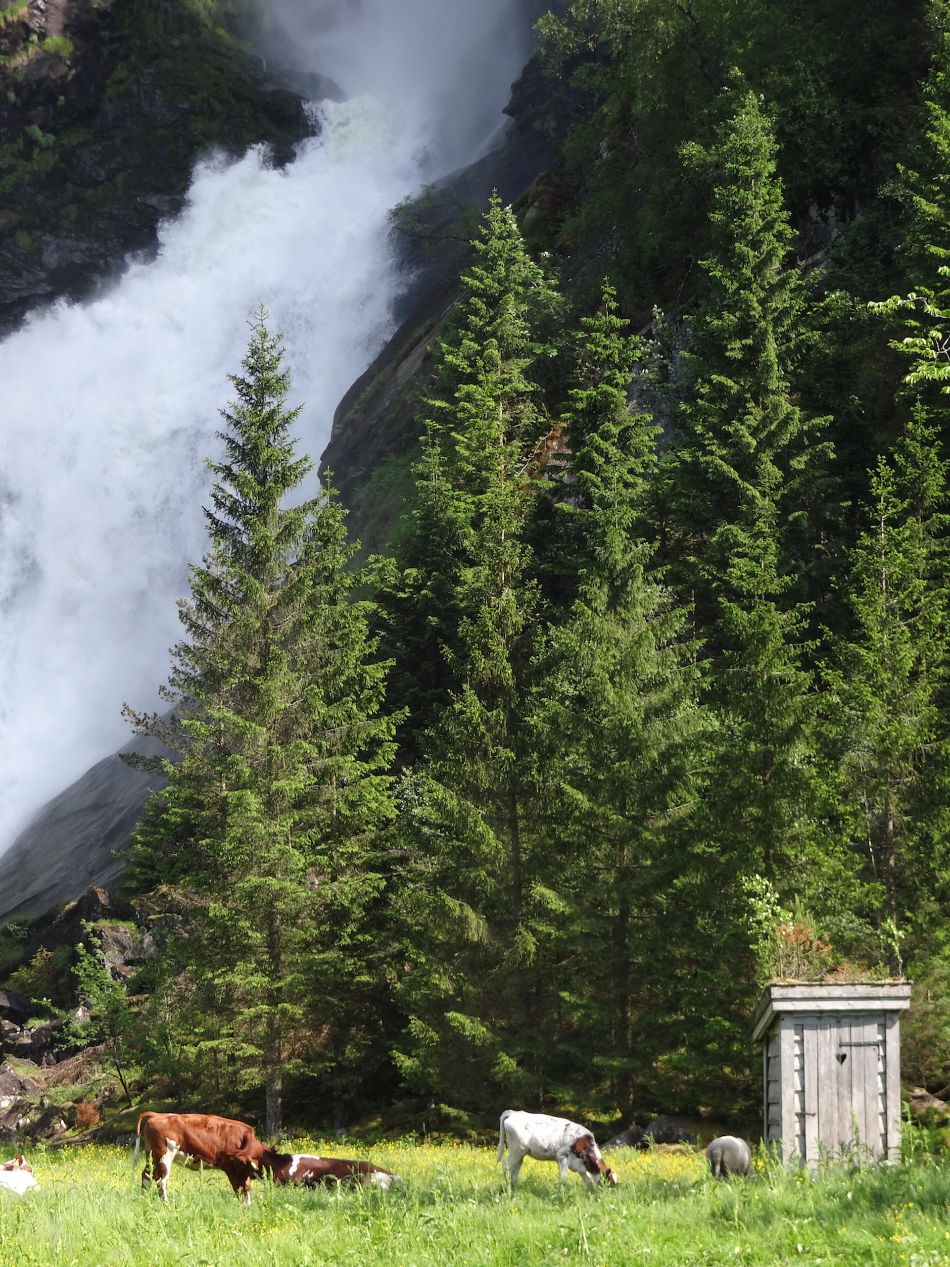 Foto Esther Westerveld Huldefossen