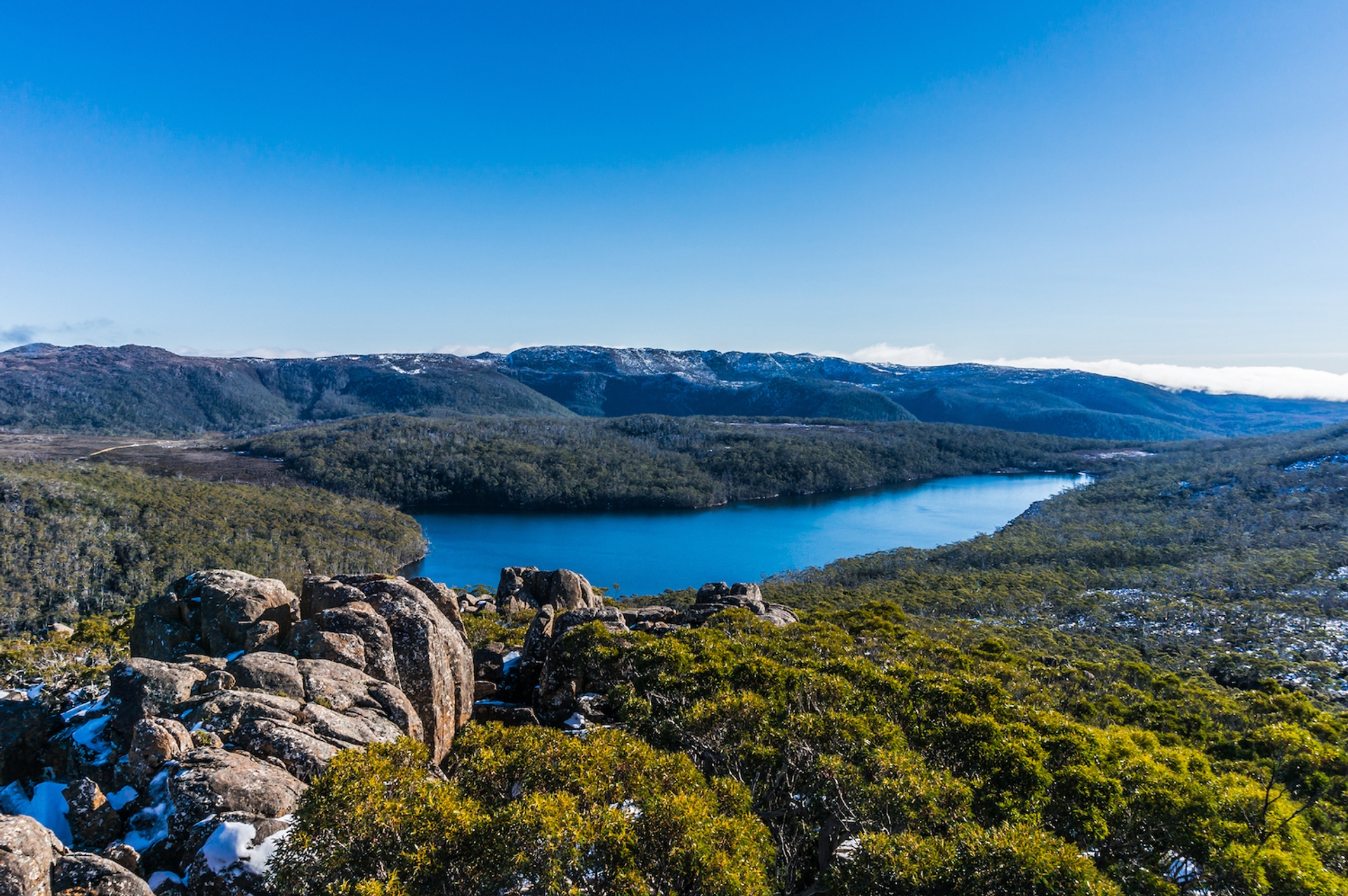 Tasmania nature