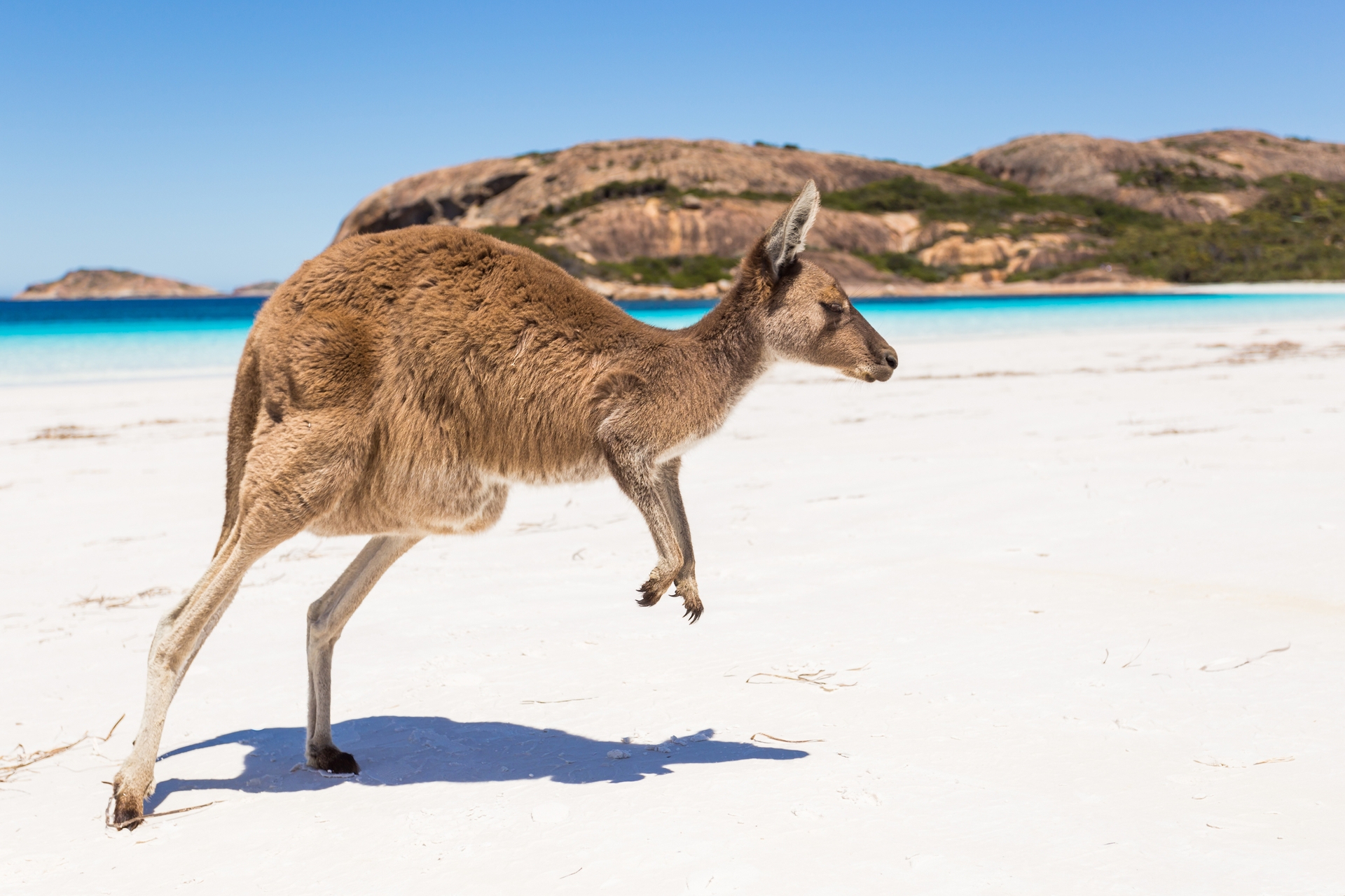 Kangaroo Island beach