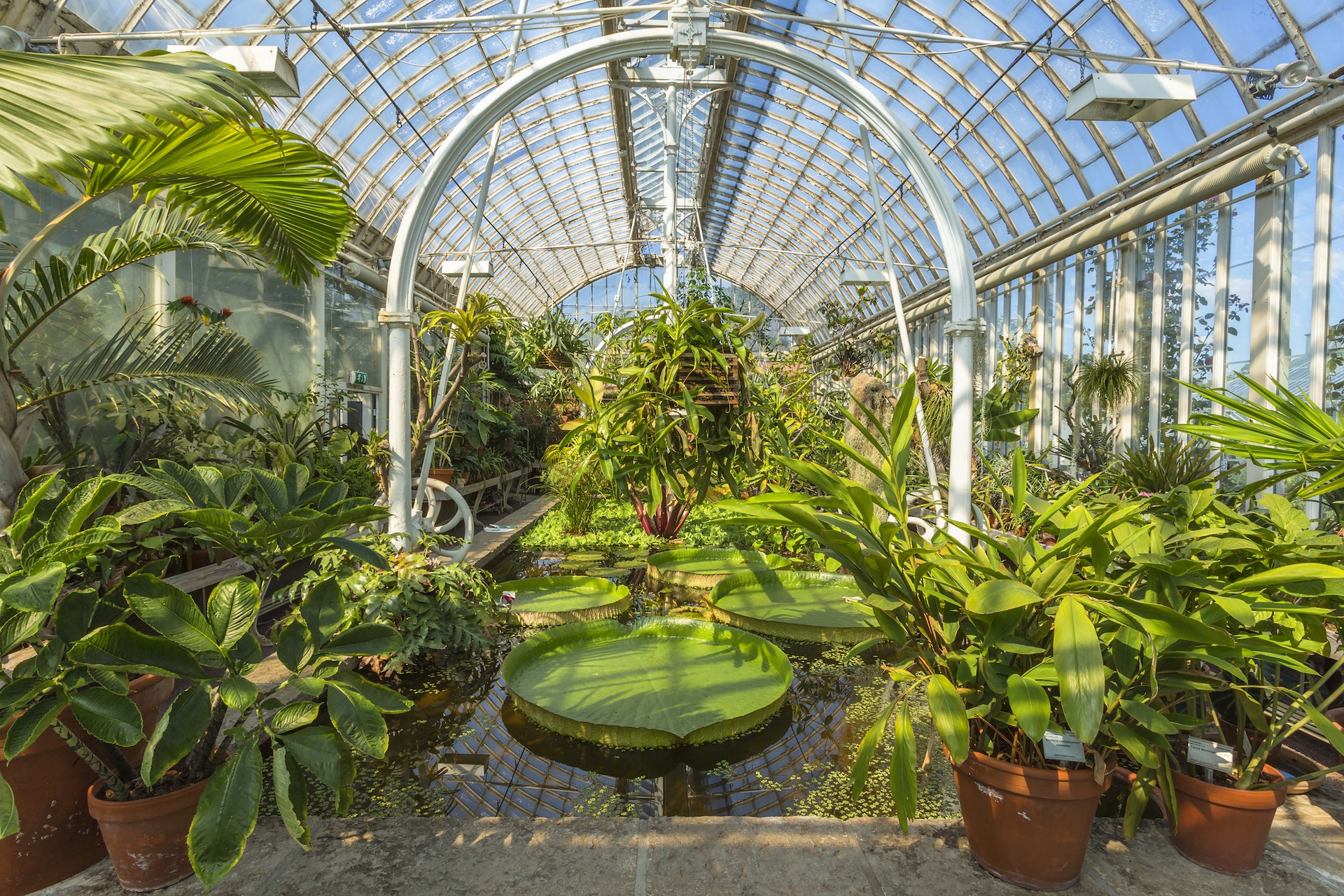 Botanical Garden Göteborg