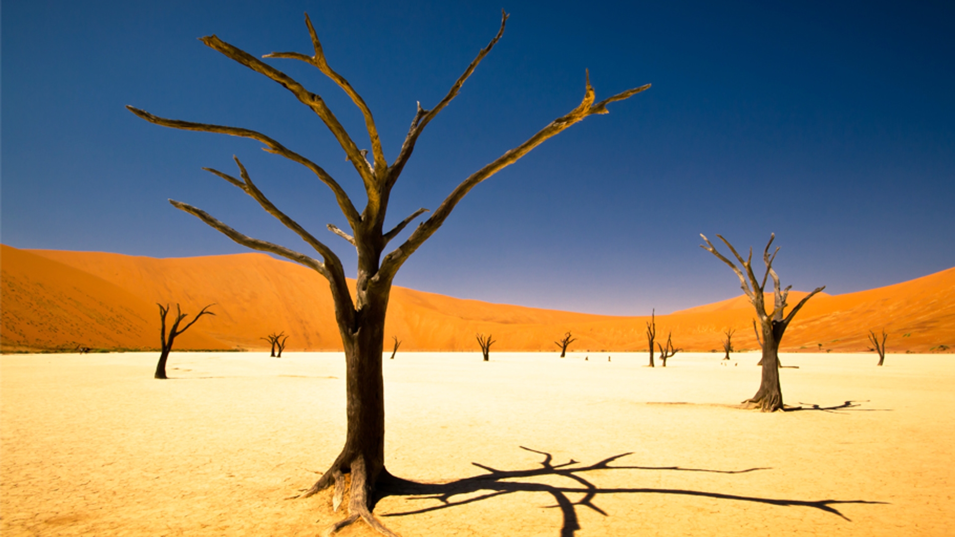 Afbeelding van Dit zijn de mooiste plekken van Namibië