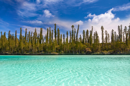 Afbeelding van Nieuw-Caledonië