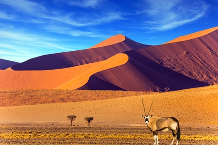 Afbeelding van Namibië